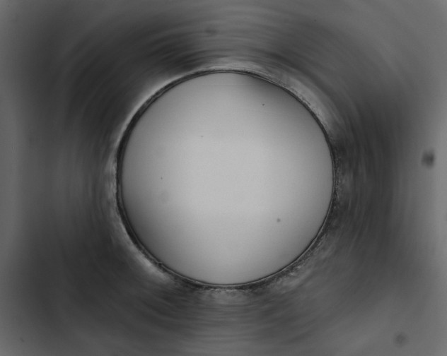 X0000102831092200809021308