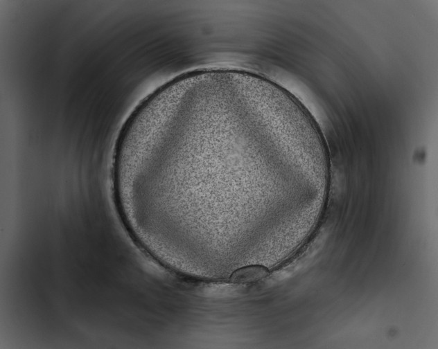 X0000102831093200809021308