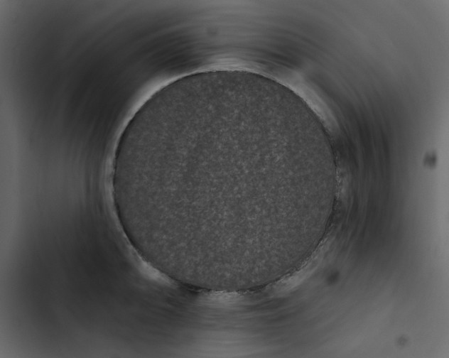 X0000102831094200809021308