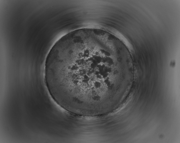 X0000102831095200809021308