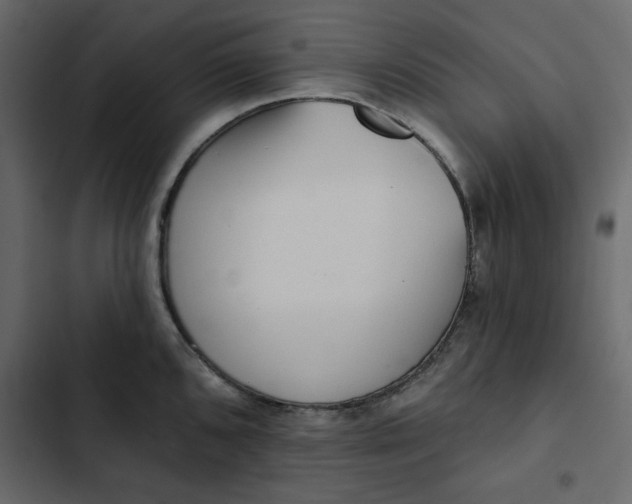 X0000102831096200809021308