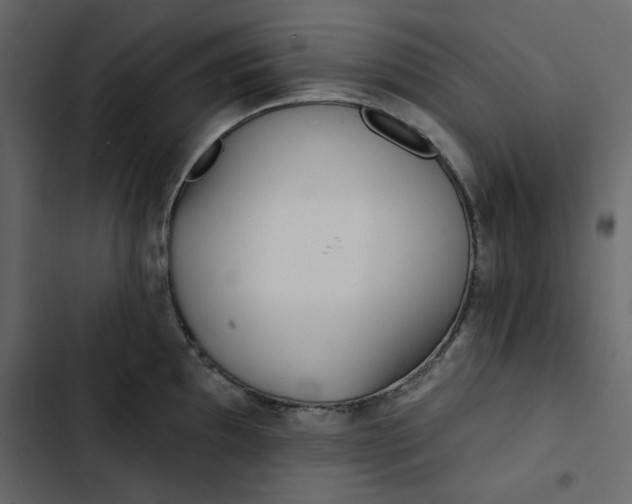 X0000102831097200809021308