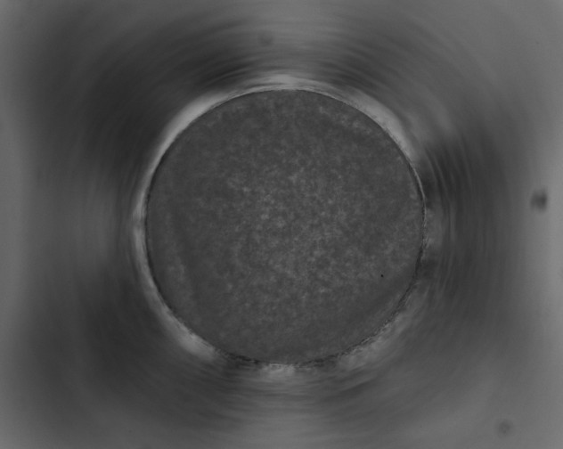 X0000102831098200809021308