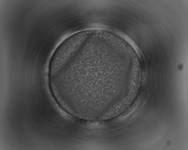 X0000102831099200809021308