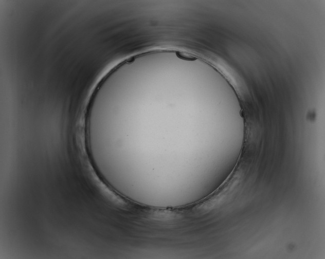 X0000102831100200809021308