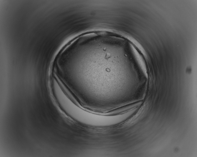 X0000102831101200809021308