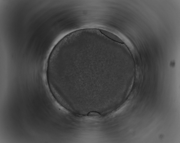 X0000102831102200809021308