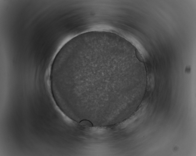 X0000102831103200809021308