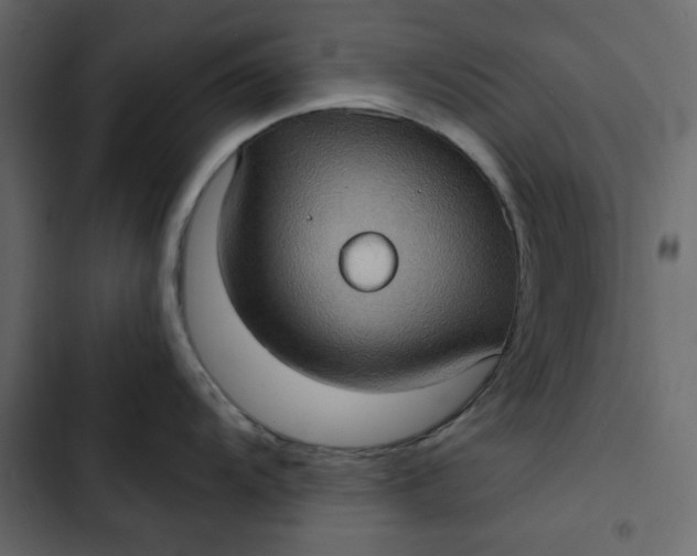 X0000102831104200809021308