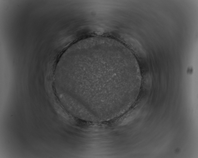 X0000102831105200809021307