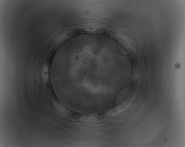 X0000102831106200809021307