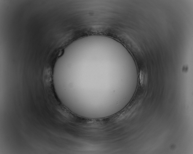 X0000102831107200809021307