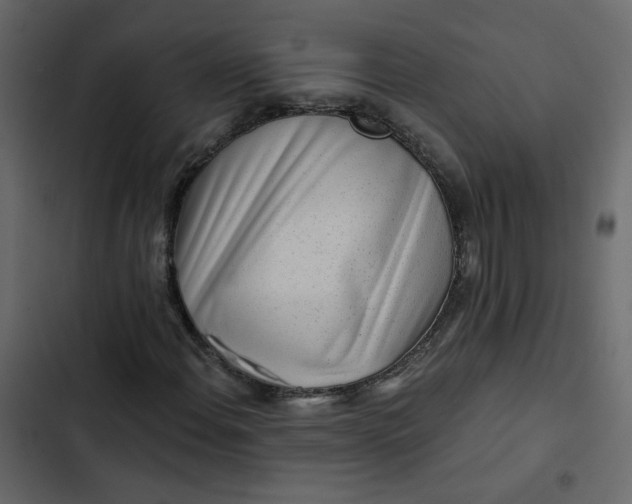 X0000102831108200809021307