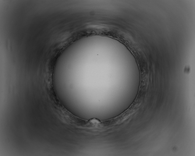 X0000102831109200809021307