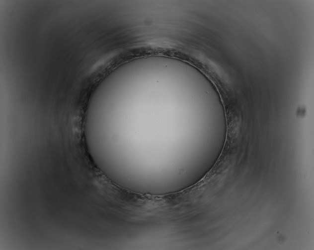 X0000102831110200809021307