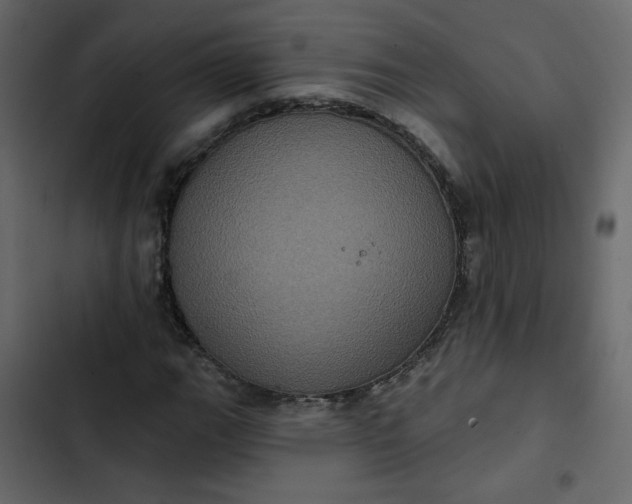 X0000102831111200809021307