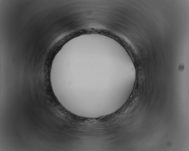 X0000102831112200809021307