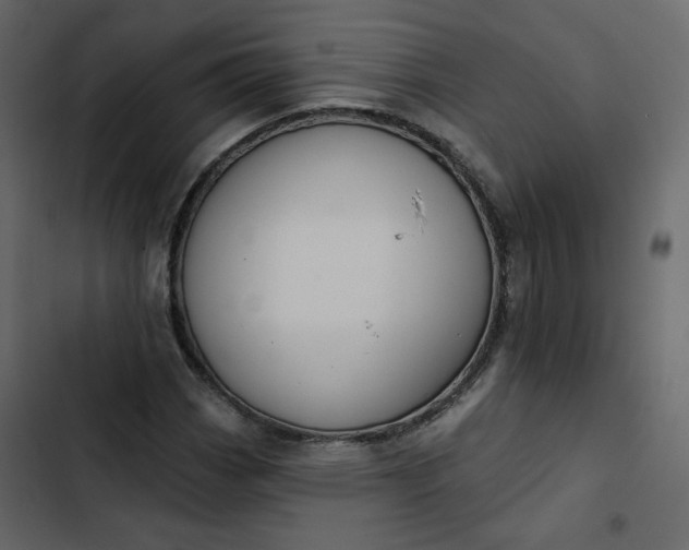 X0000102831113200809021307