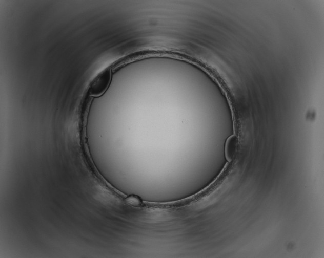 X0000102831114200809021307