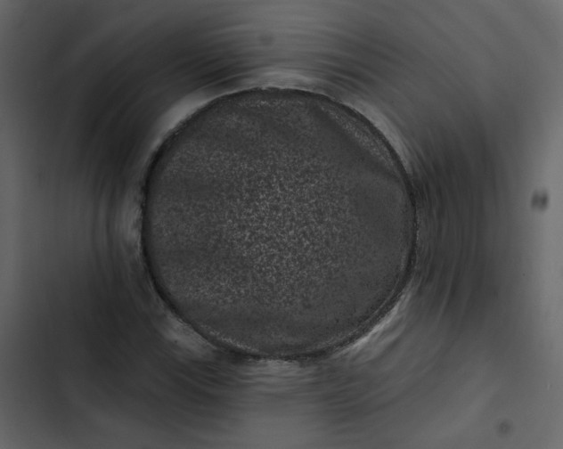 X0000102831115200809021307