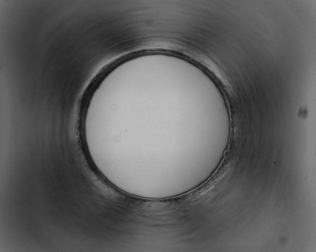 X0000102831116200809021307