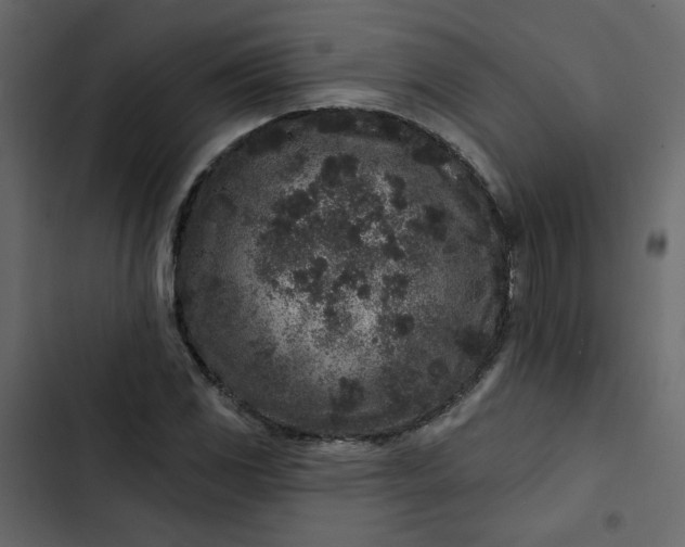 X0000102831117200809021307