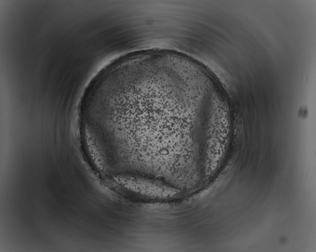 X0000102831118200809021307