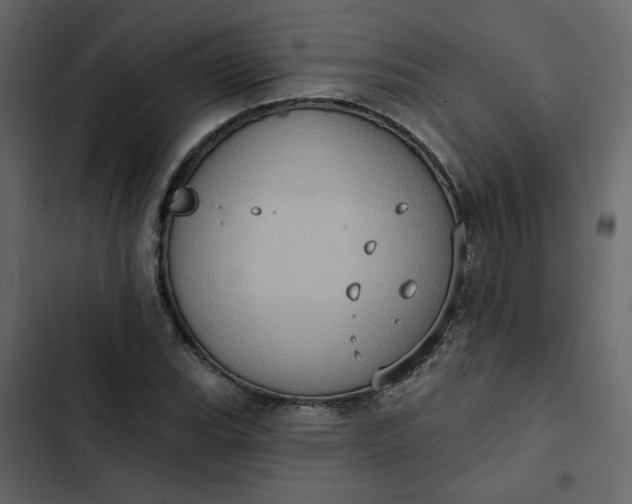 X0000102831119200809021307