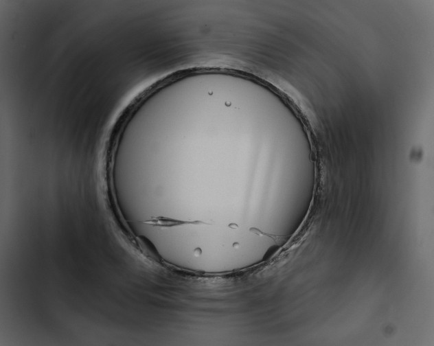 X0000102831120200809021307