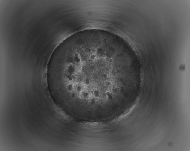 X0000102831121200809021307