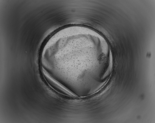 X0000102831122200809021307