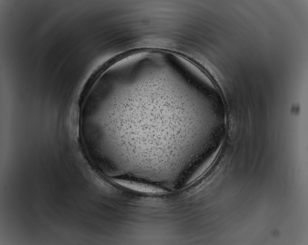 X0000102831123200809021307