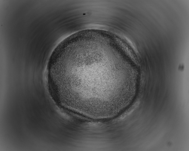 X0000102831125200809021307