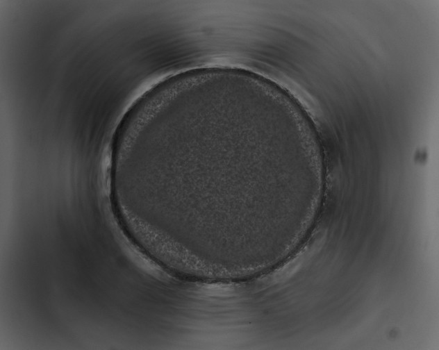 X0000102831126200809021307