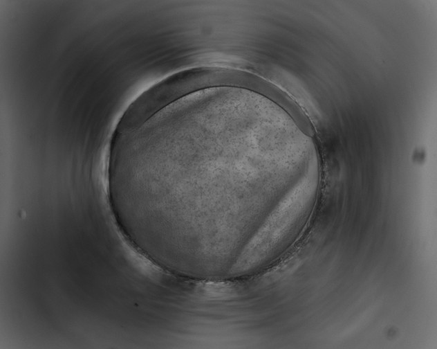 X0000102831128200809021307