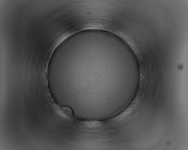 X0000102831129200809021307