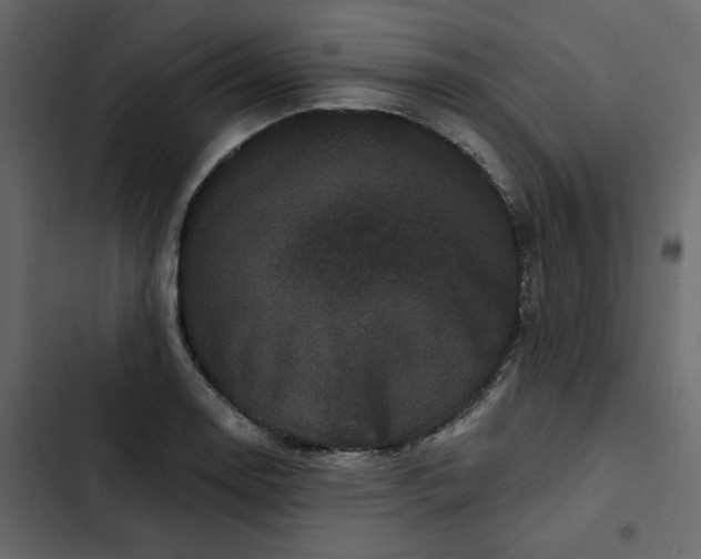 X0000102831130200809021307