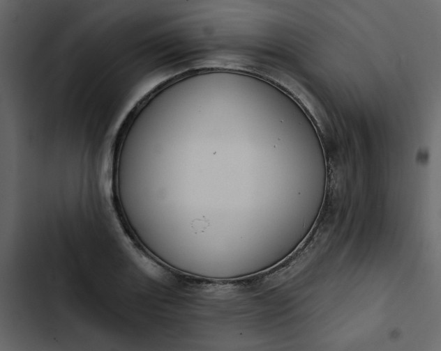 X0000102831131200809021307