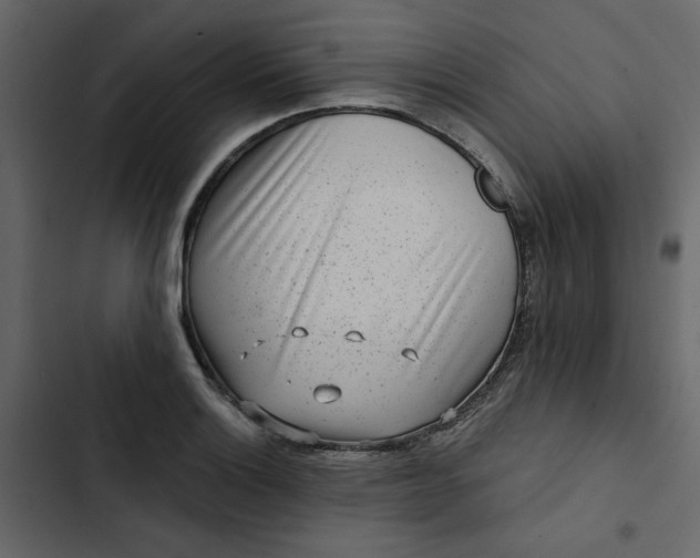 X0000102831132200809021307