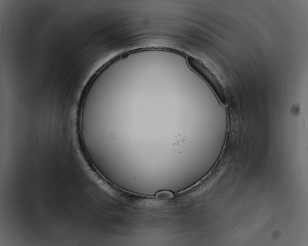 X0000102831134200809021307