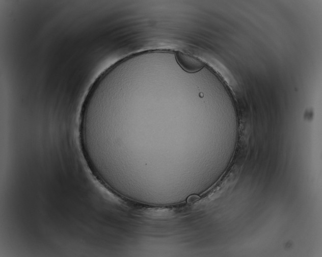 X0000102831135200809021307