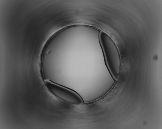 X0000102831136200809021308