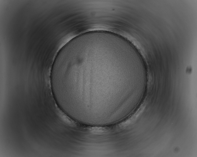 X0000102831137200809021308