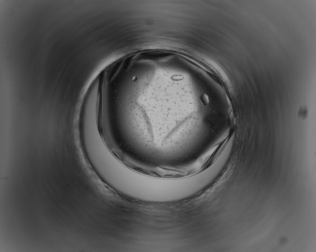 X0000102831138200809021308