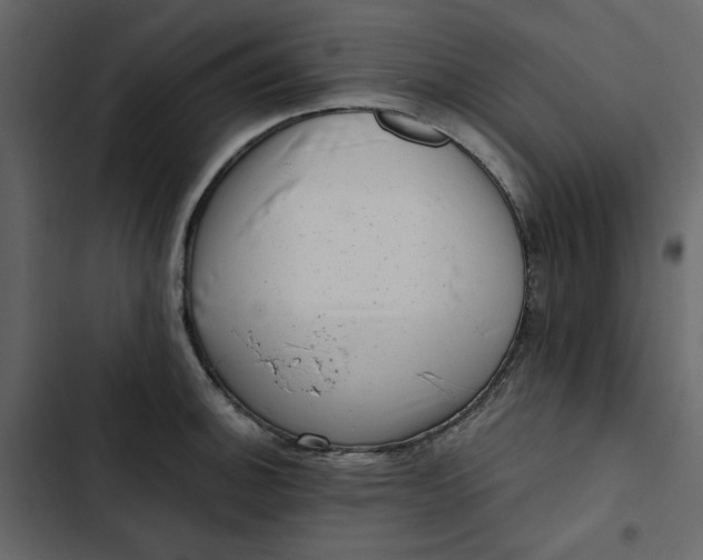 X0000102831140200809021308