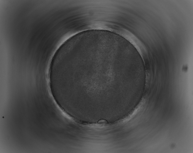 X0000102831141200809021308