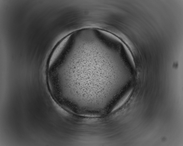 X0000102831143200809021308