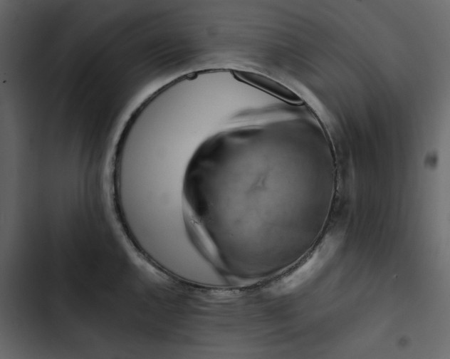 X0000102831144200809021308