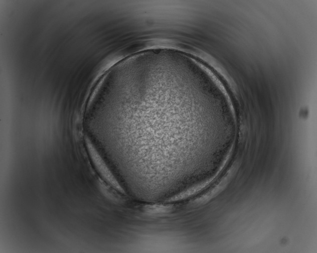 X0000102831145200809021308