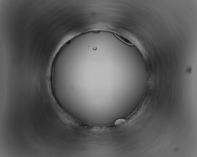 X0000102831146200809021308